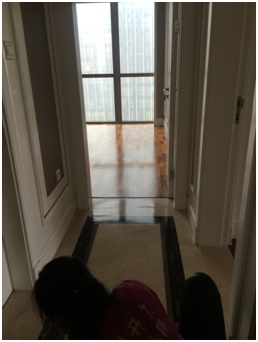 1493288110531871.png blob.png